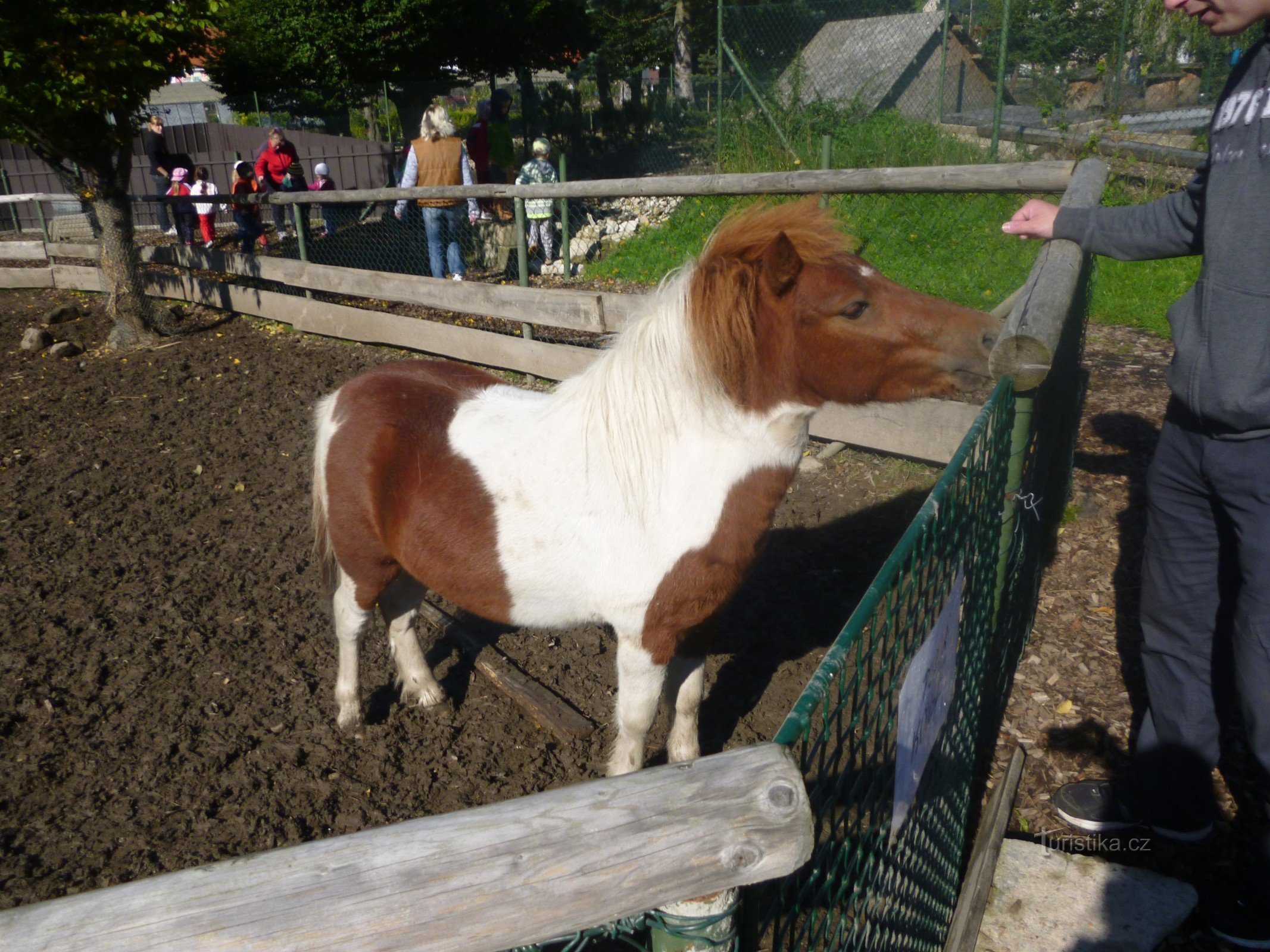 Polizia del minizoo e Metuji