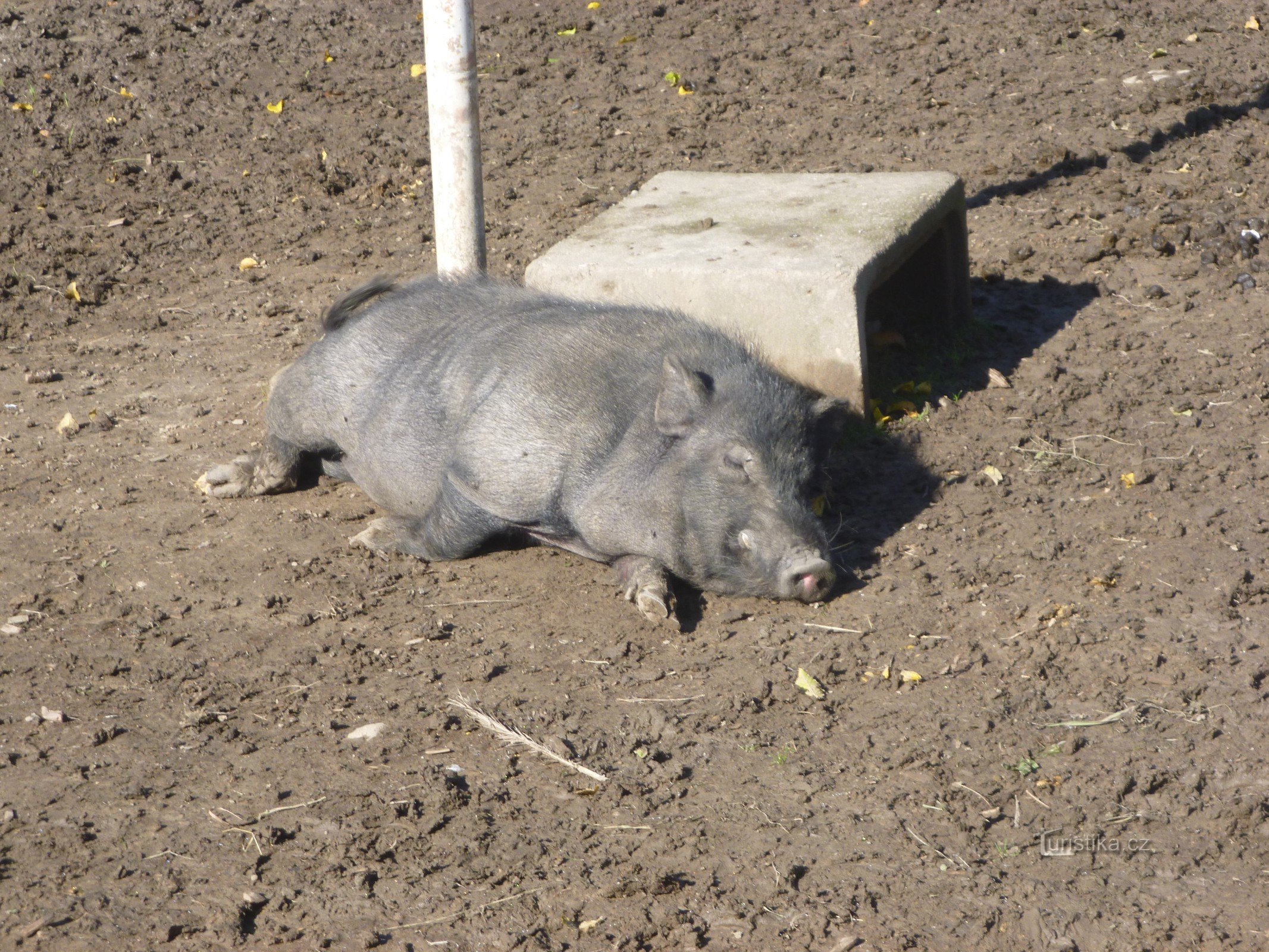 Minizoo Police și Metují