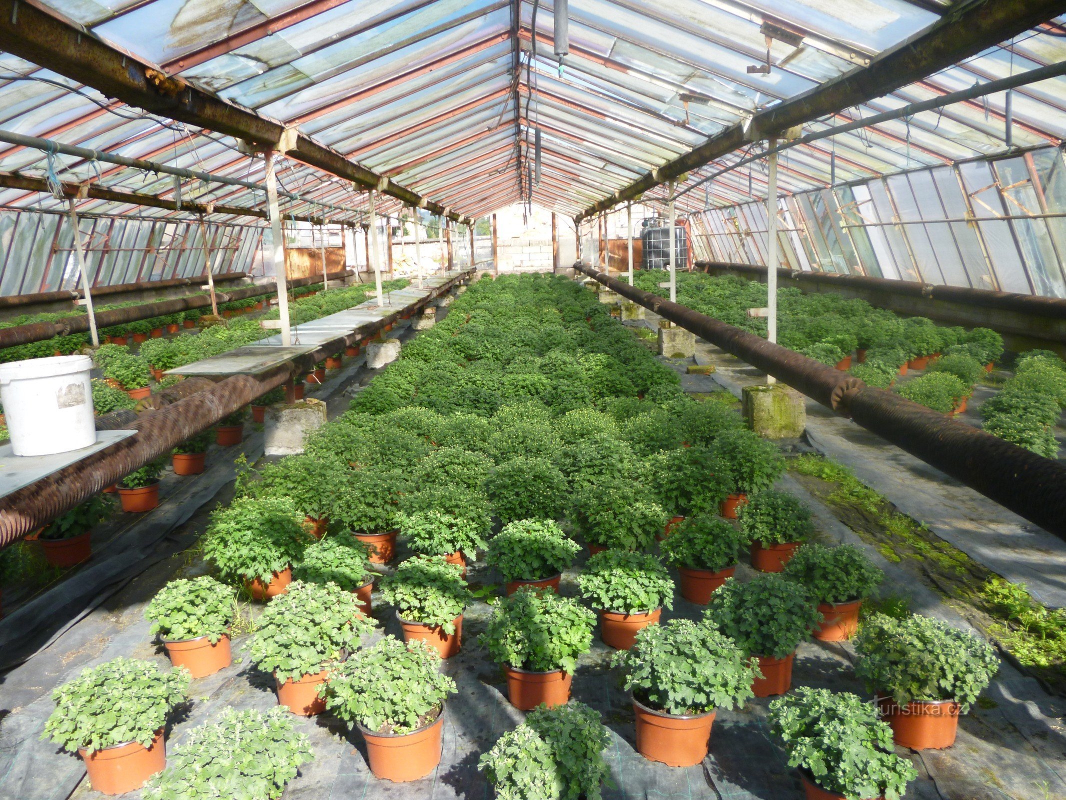 Minizoo Police nad Metují