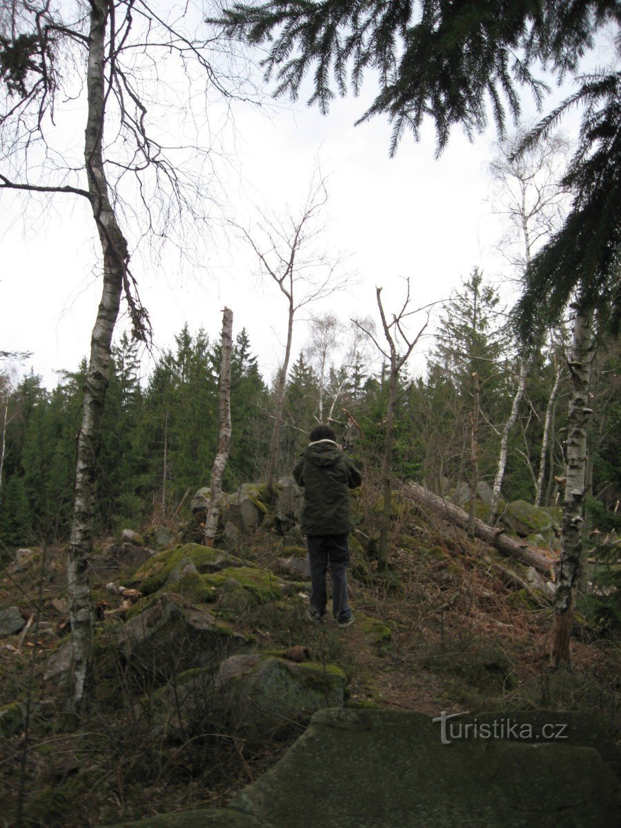 Mirek takes pictures of stones :)