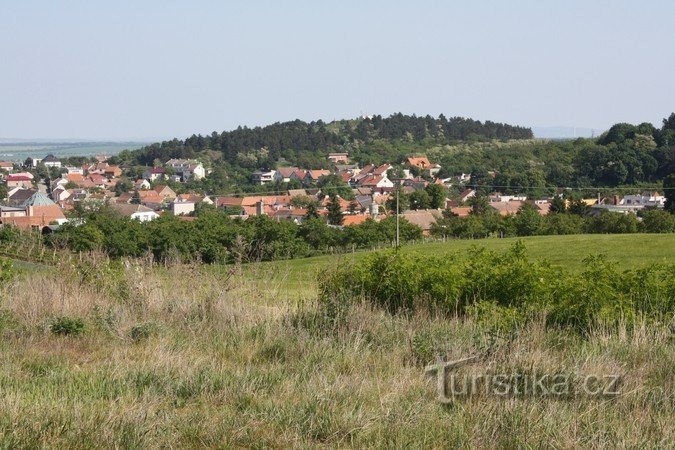 Miroslavské kopce - udsigt over Markův kopec og Miroslav