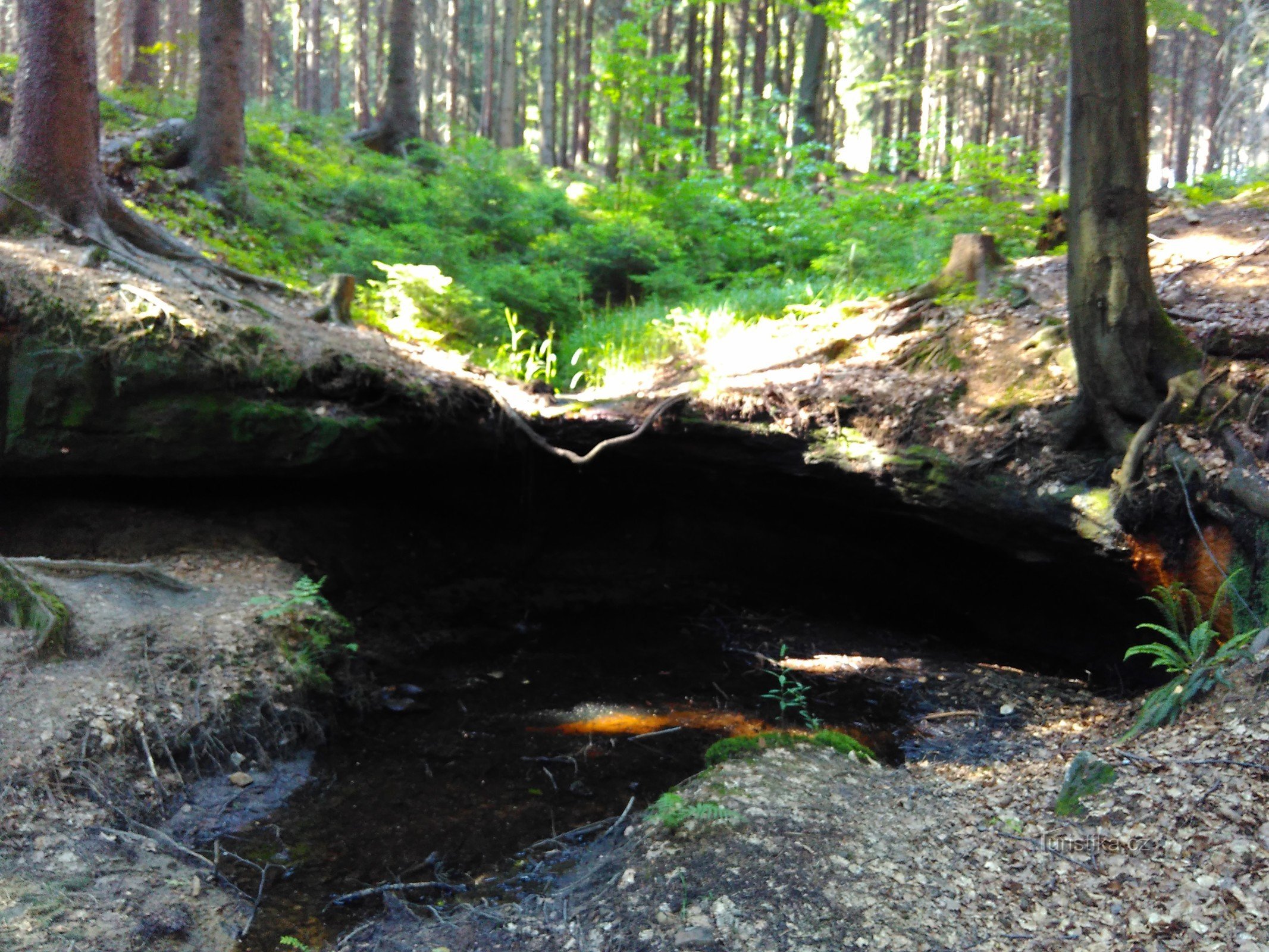 Meissen waterfall