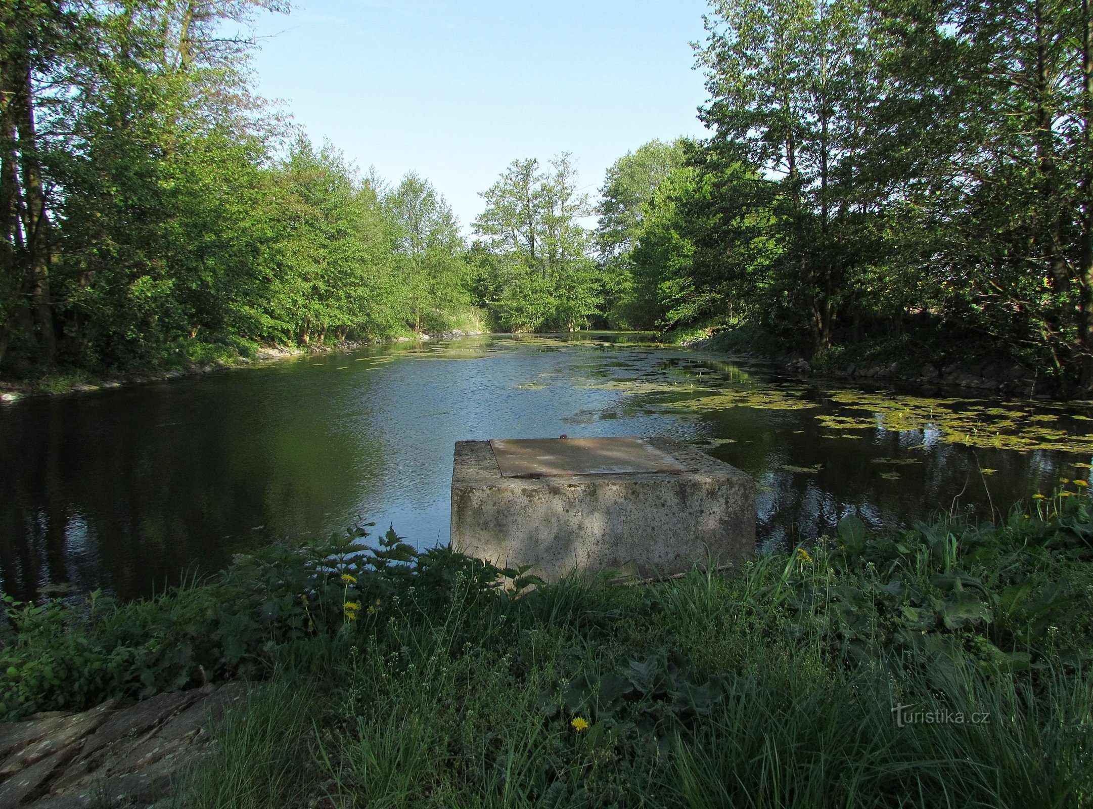 ミシュコヴィツェの池