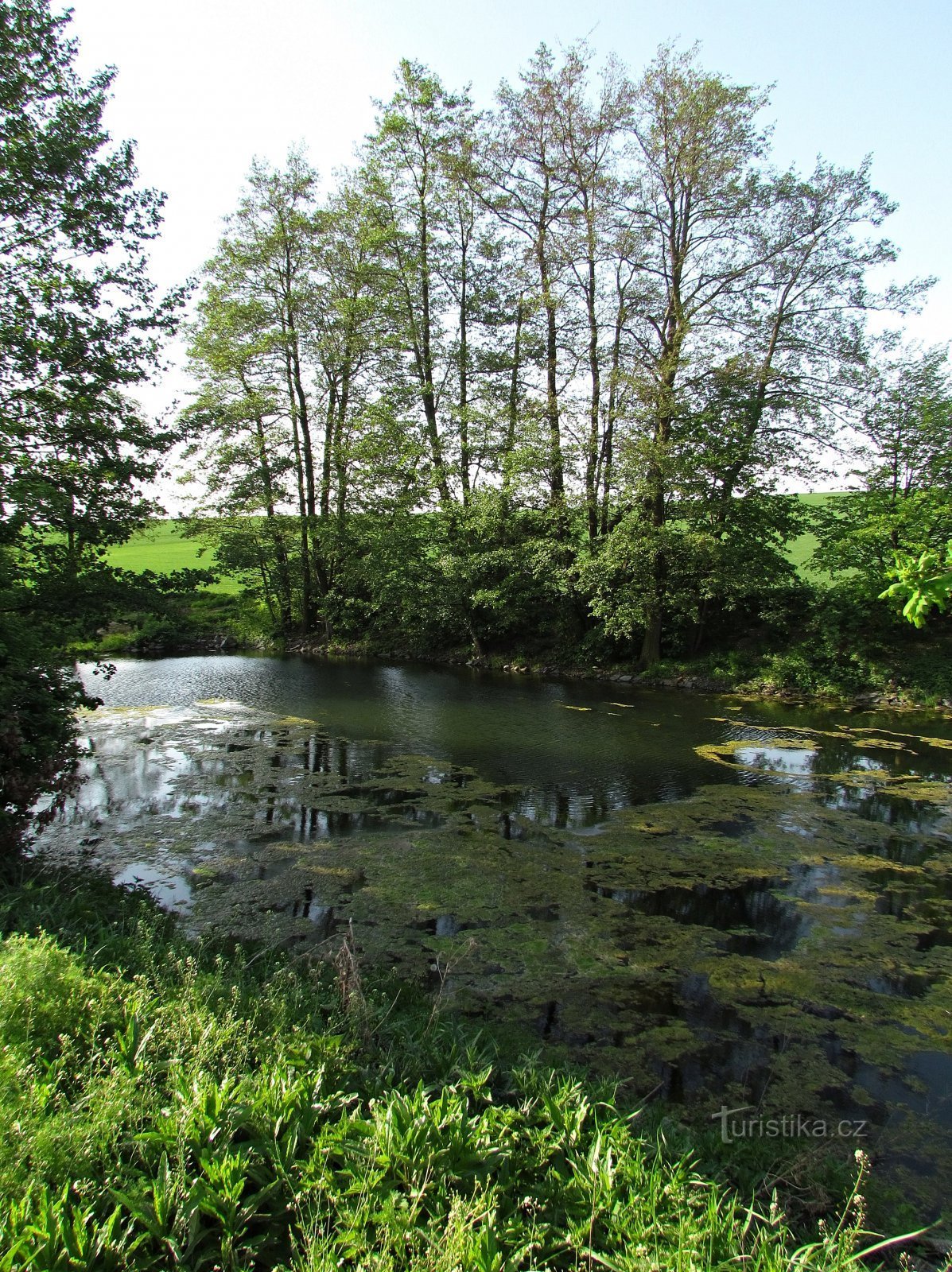 Stawy Míškovice