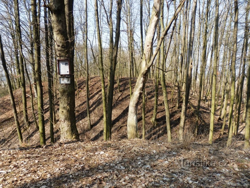 Solo las irregularidades del terreno y un panel de información te recuerdan el sitio del castillo.