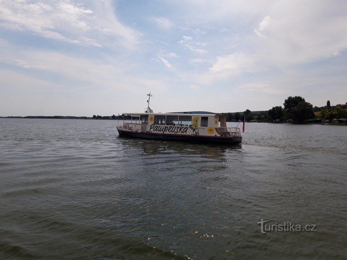 Plaats van uiterwaarden bos Pampeliška en Poppy (Novomlýnská stuwmeer)