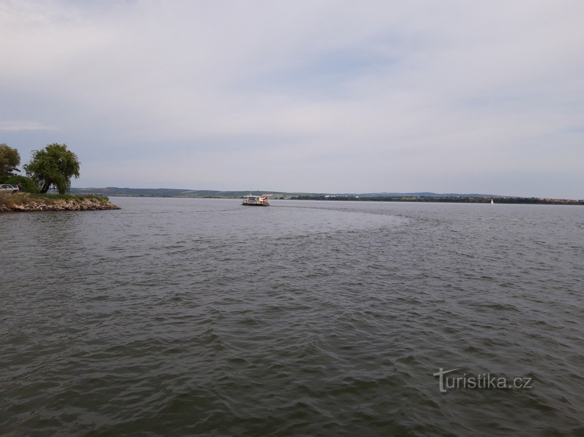 Ort des Auwaldes Pampeliška und Mohn (Stausee Novomlýnská)