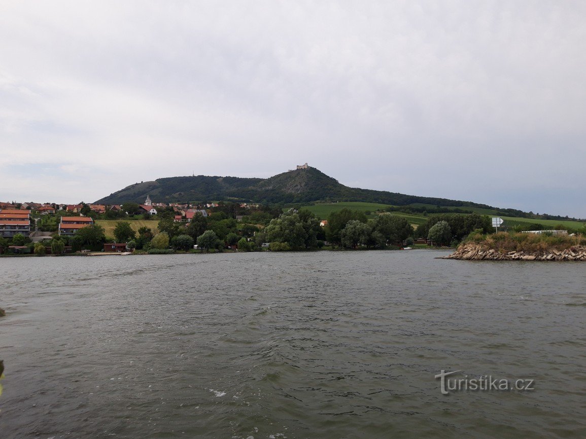 Place of floodplain forest Pampeliška and Poppy (Novomlýnská reservoir)