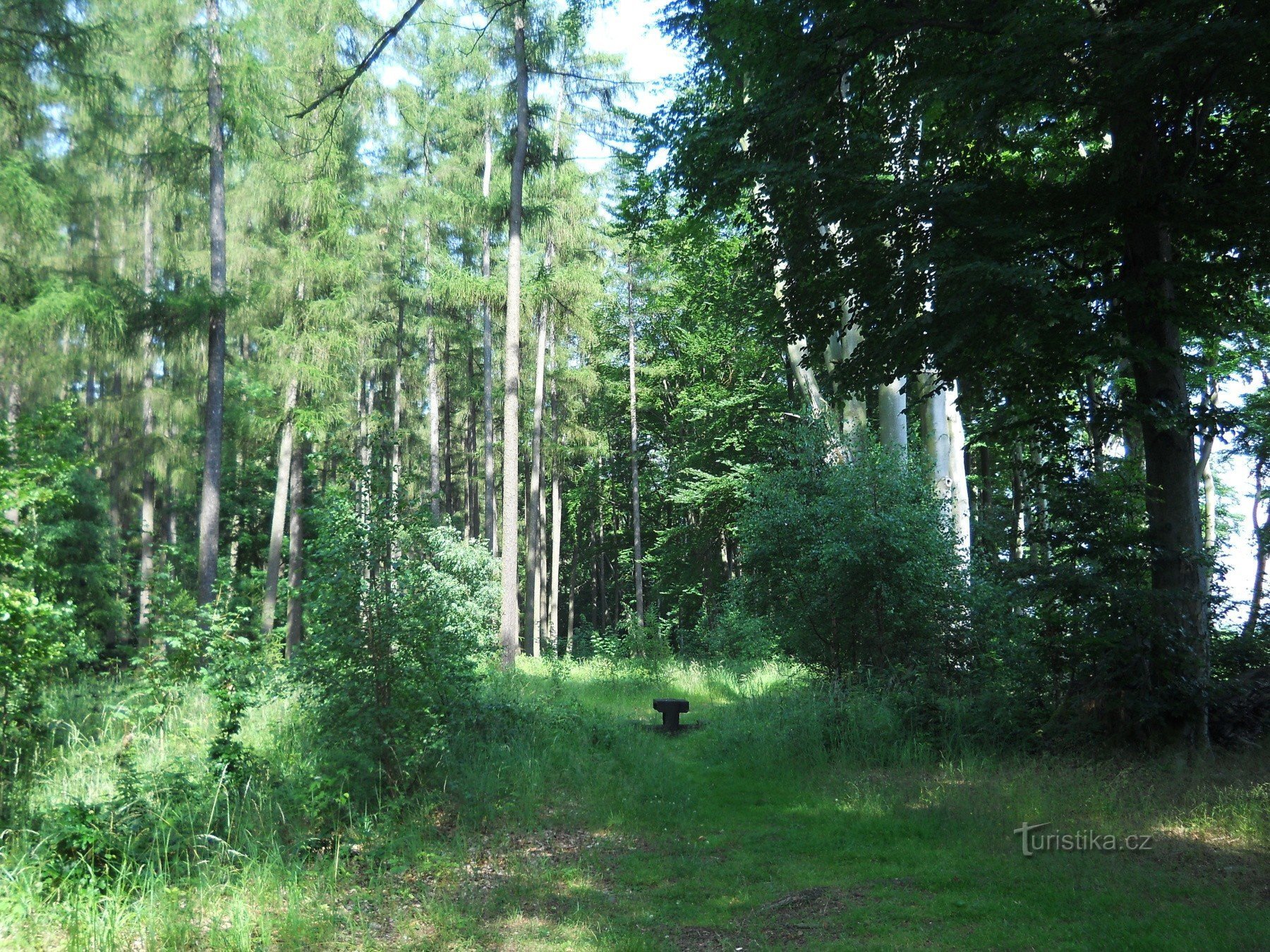 La place au sommet