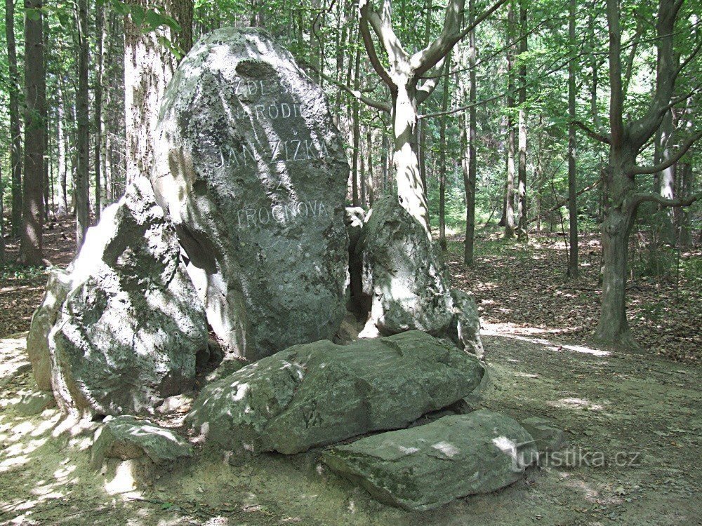 Lugar de nacimiento de Žižek