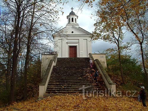 Mladá Vožice