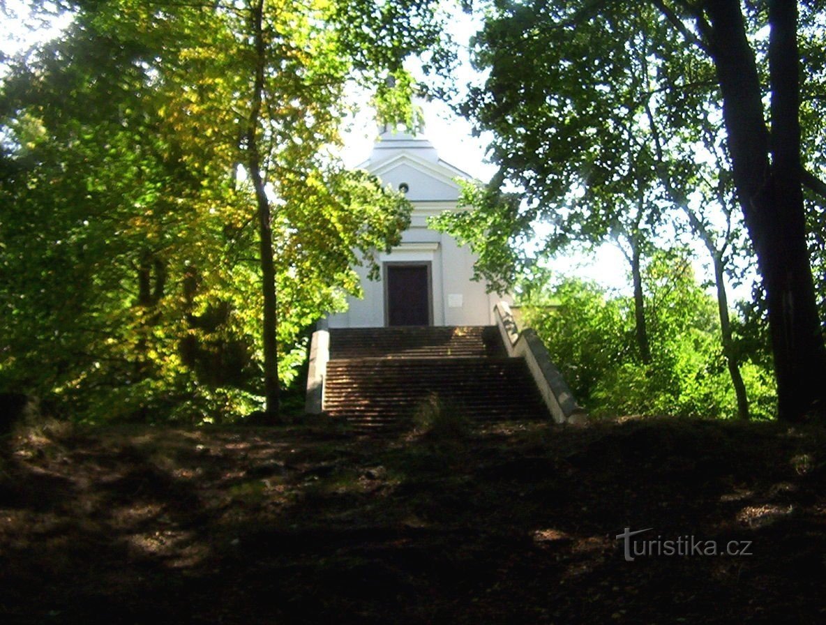Mladá Vožice-kasteel heuvel Kasteel met kapel van de Hemelvaart van de Maagd Maria-Foto: Ulrych Mir.