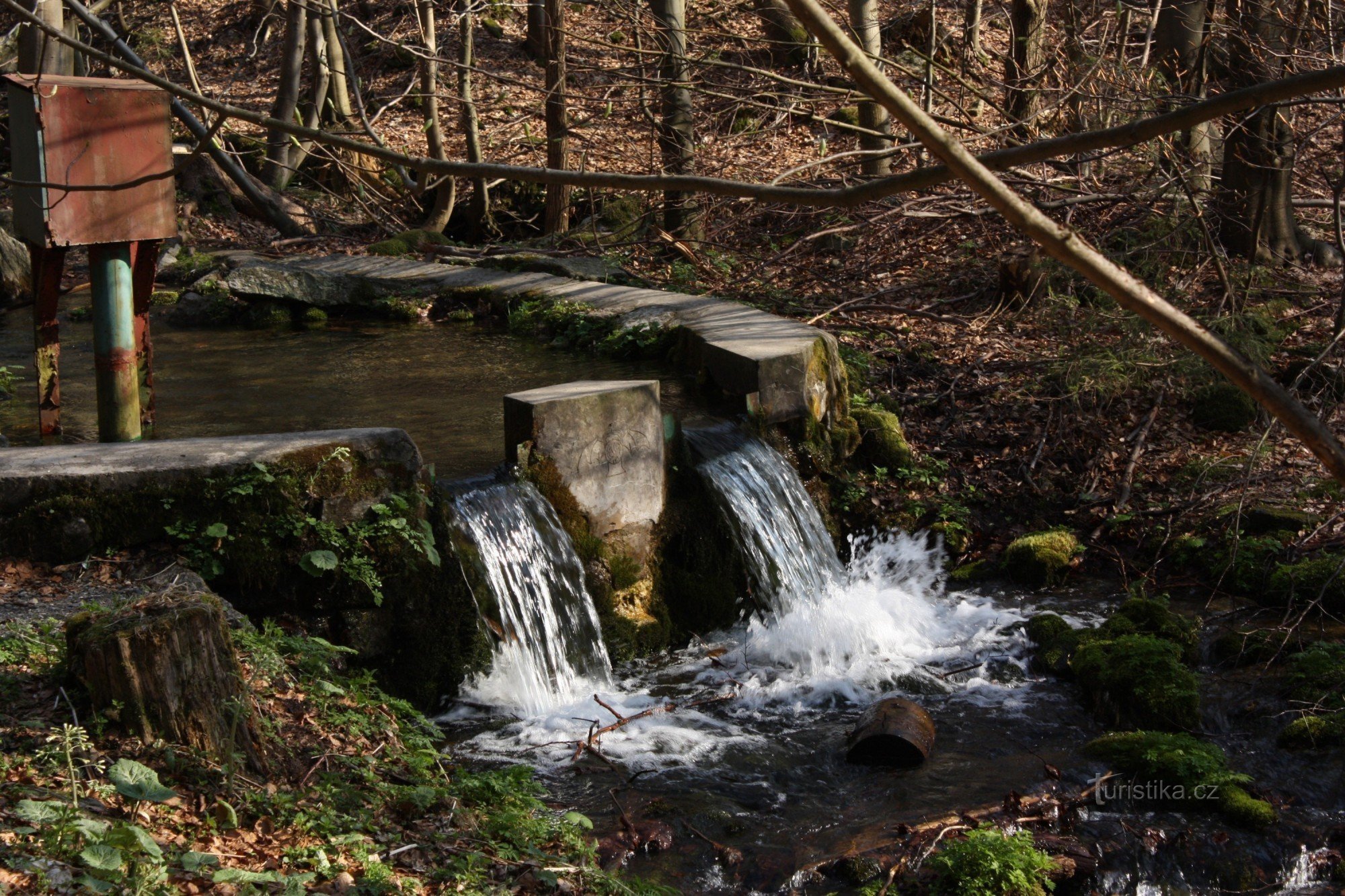 LAIT DE PRINTEMPS