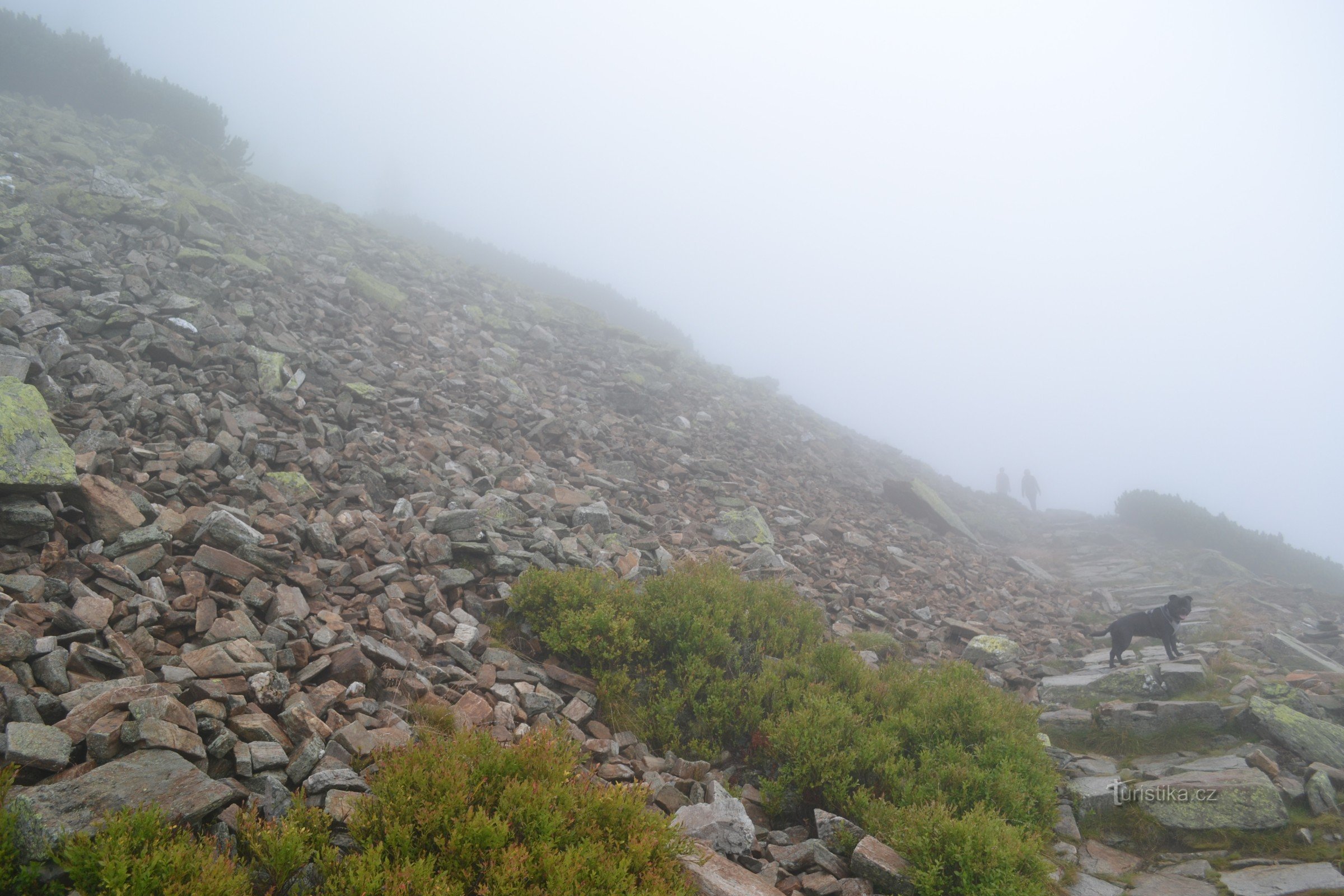 Fog on the way to the Goat's Backs