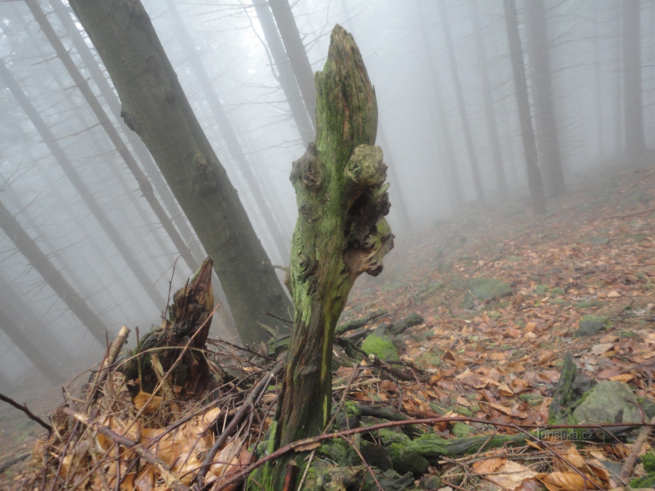 Brouillard devant, brouillard derrière