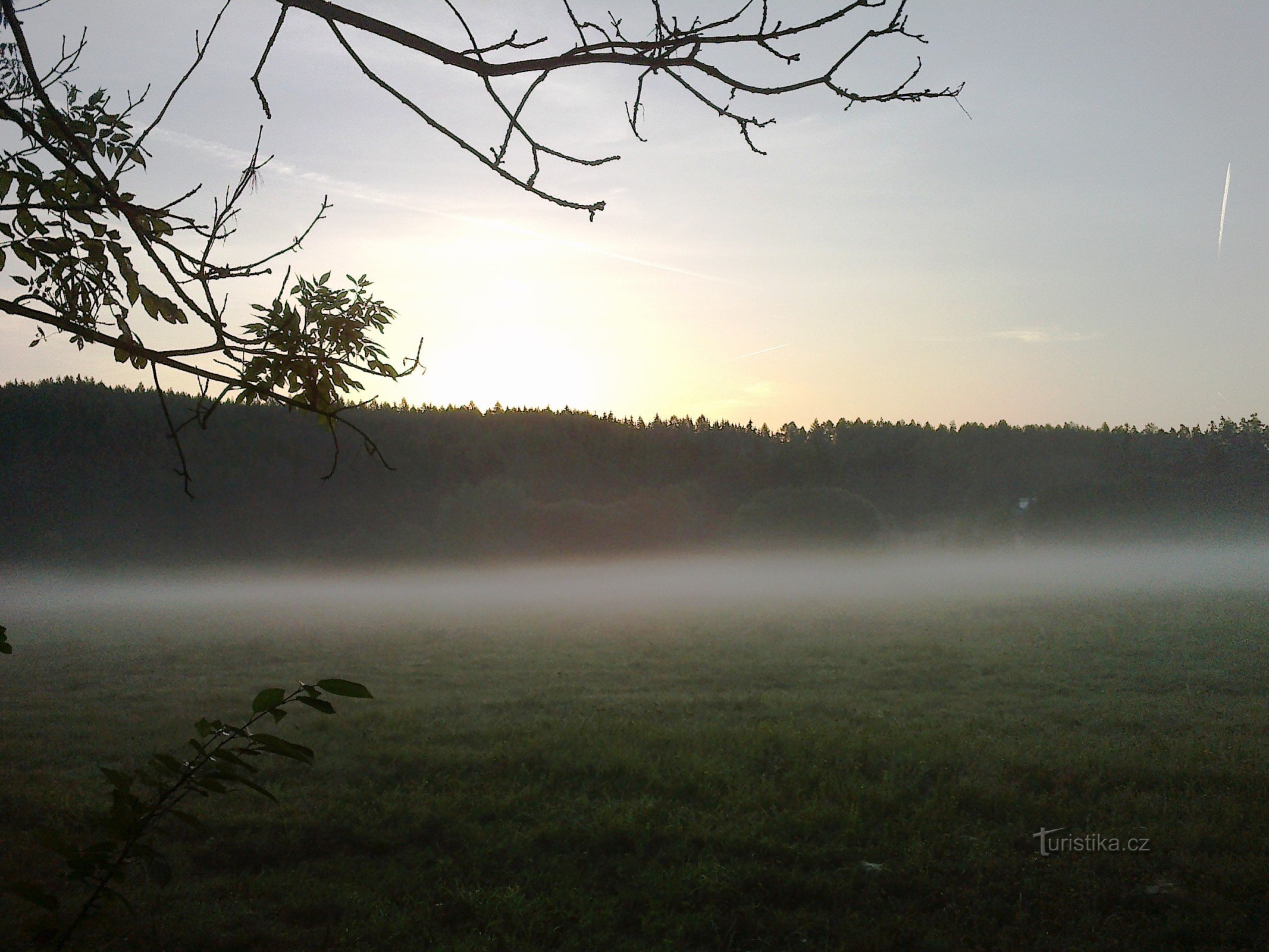 Fog near Pohodlí