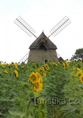 De molen in Kuželov