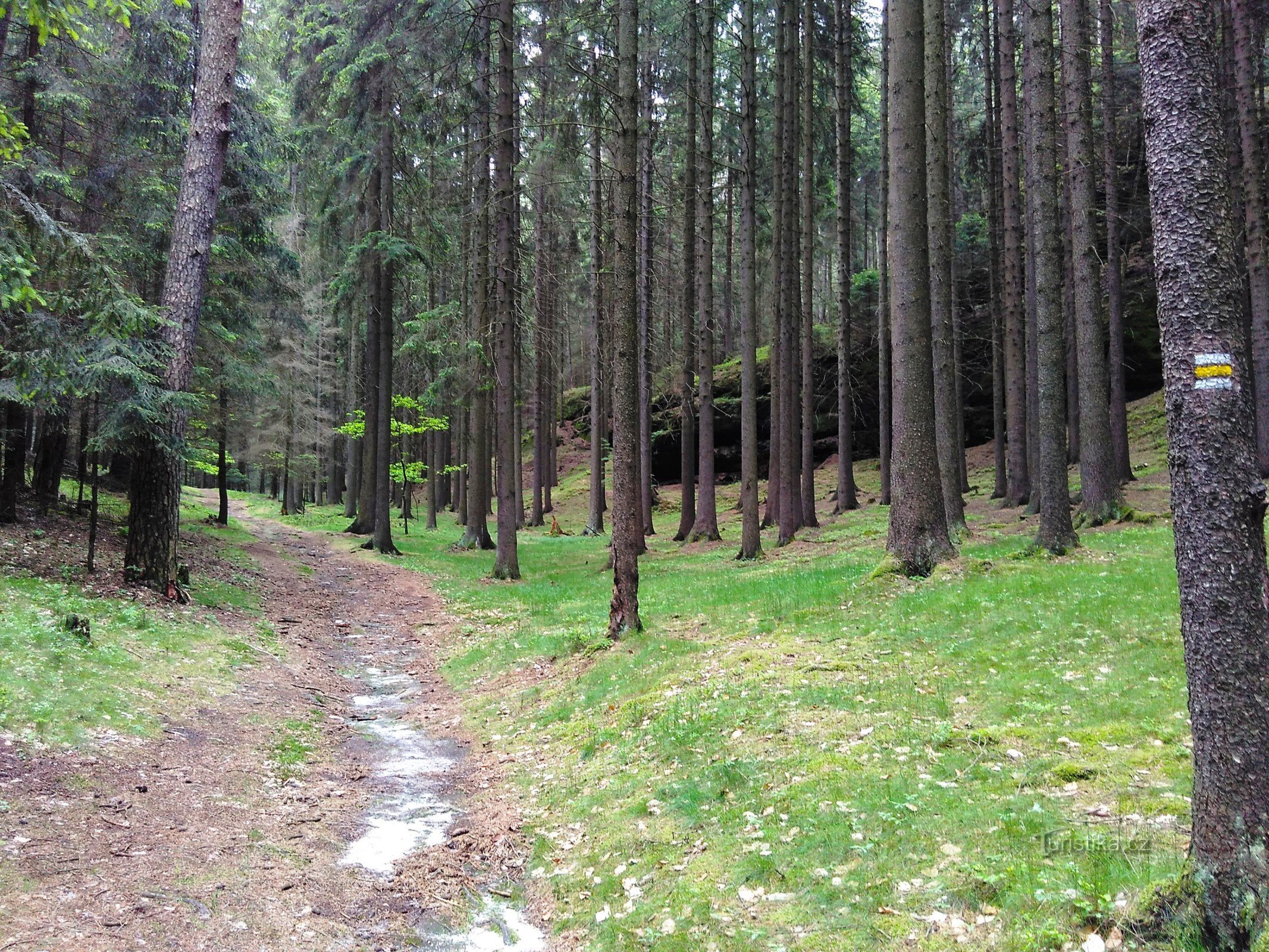 barranco del molino