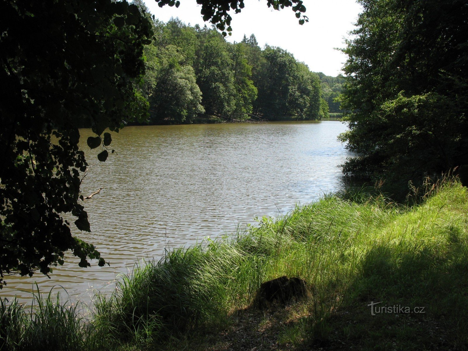 étang du moulin