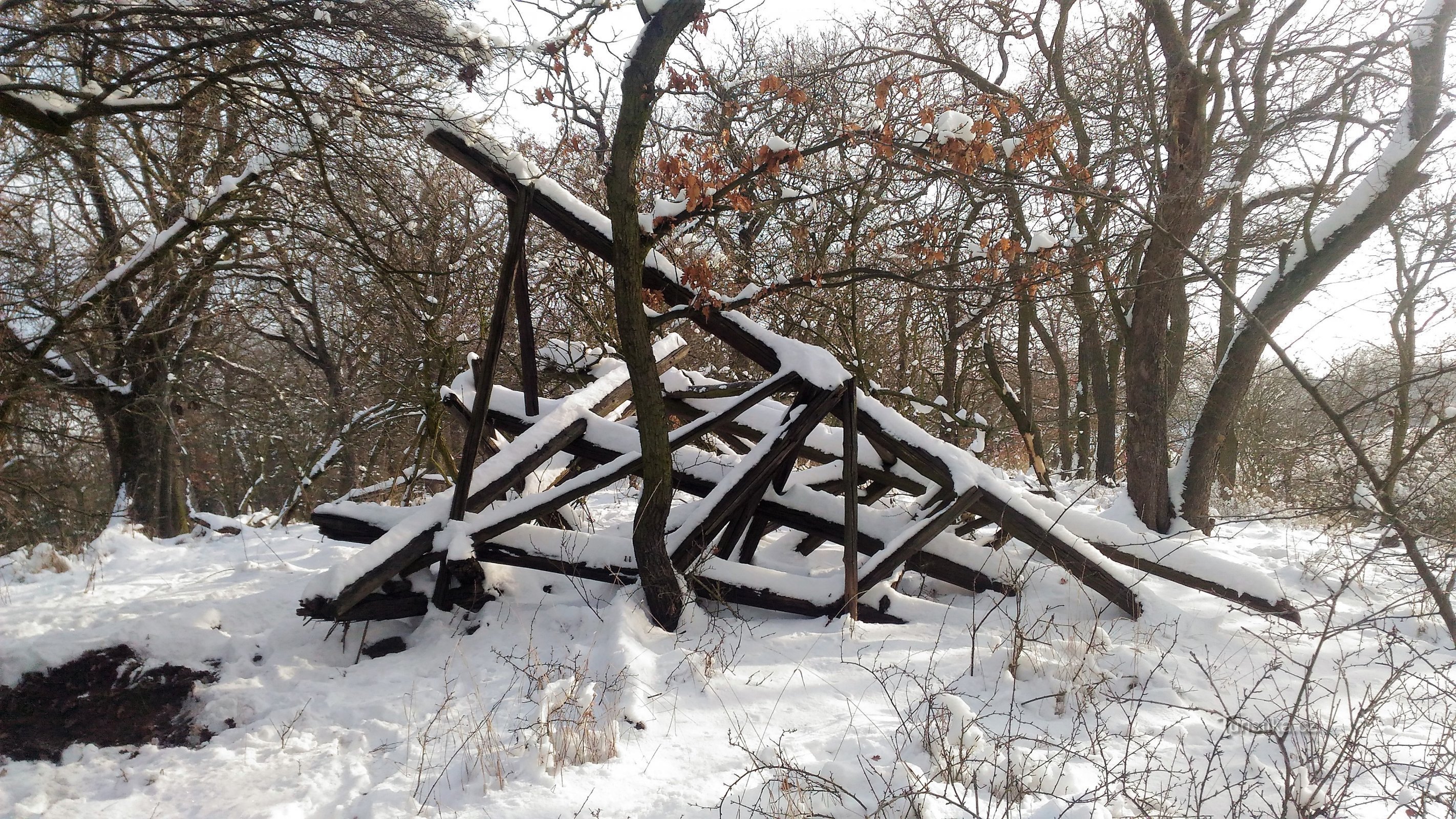 Monastic forest