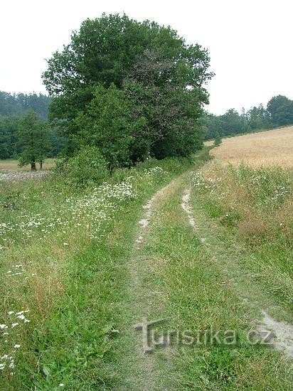 Болота - перекресток