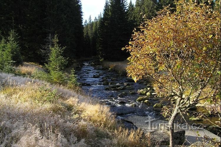 Modravský potok: ved broen