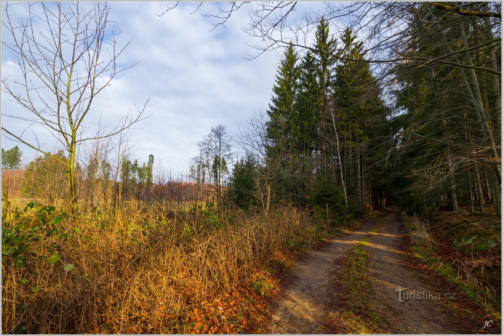 Die blau markierte Straße aus Řeřišné, kurz vor der Gabelung, wo sie rechts in den Wald abbiegt.