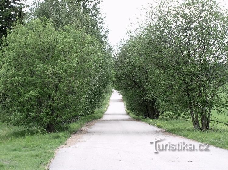 Blåmarkerad specialbyggd väg till Dobroutov