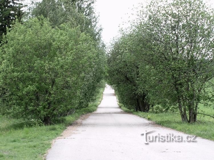 Blue marked purpose-built road to Dobroutov