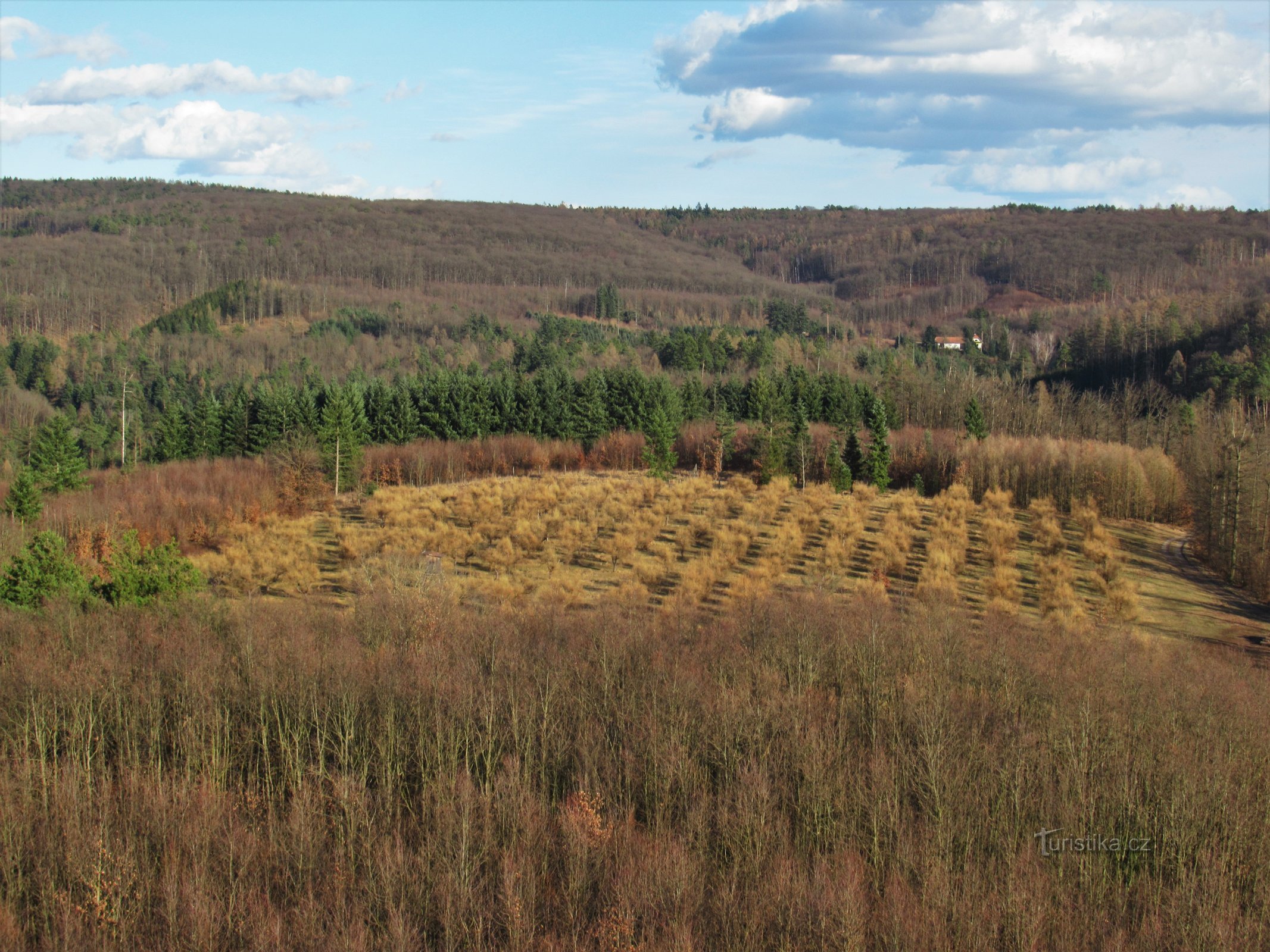 Lärkträdgård, vid horisonten den trädbevuxna Zadní Hády-åsen, i skogen till höger Ressls lund