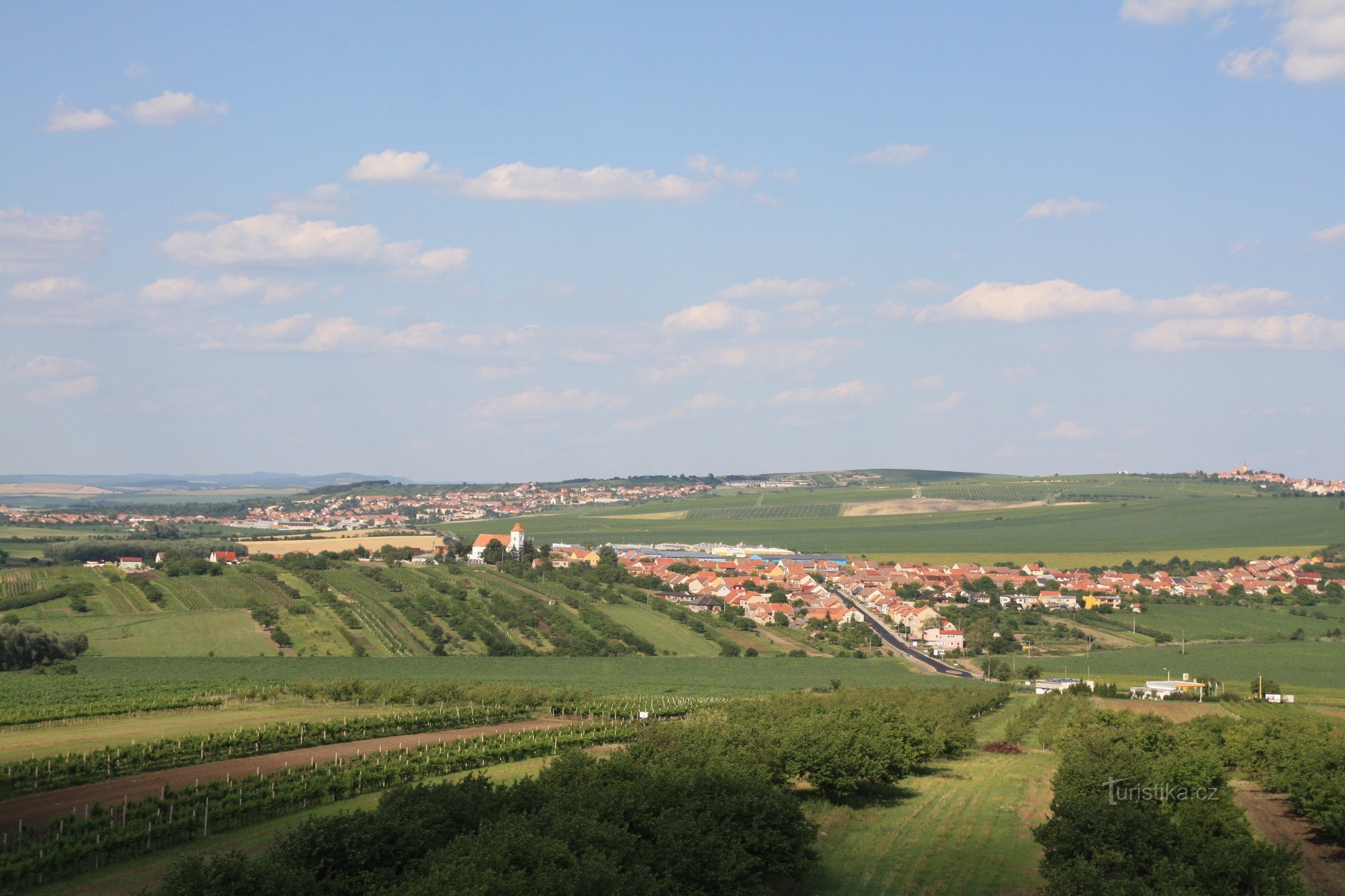 Modrohorská stezka prochází mírně zvlněnou krajinou posetou vinicemi. V popředí 