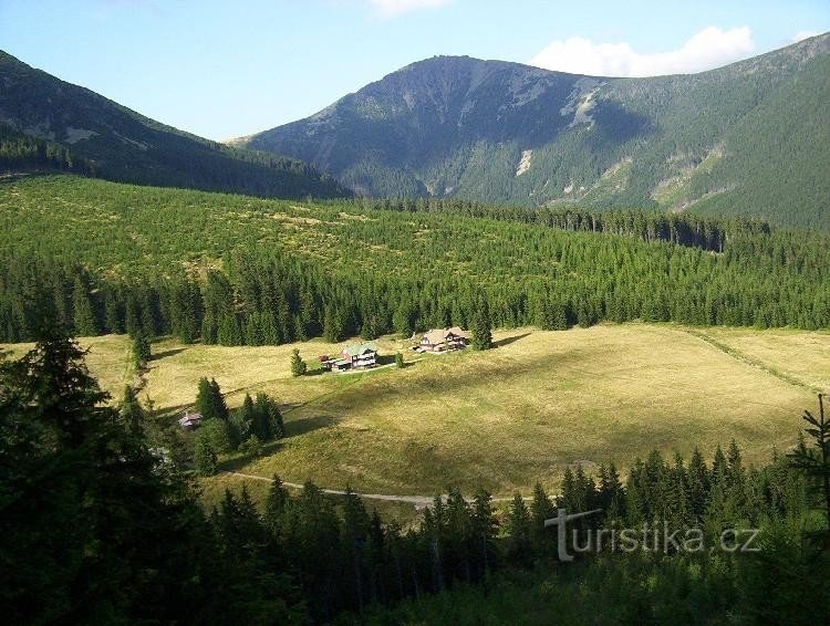 Blaue Mine, Riesenmine, Schneewittchen im Sommer