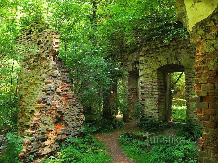 Casa Albastra - Valea Terezina