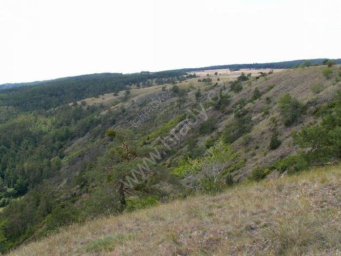 Mohelenská hadcová step