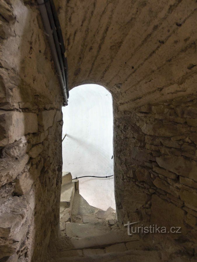 Могельніце - оглядова вежа у башті