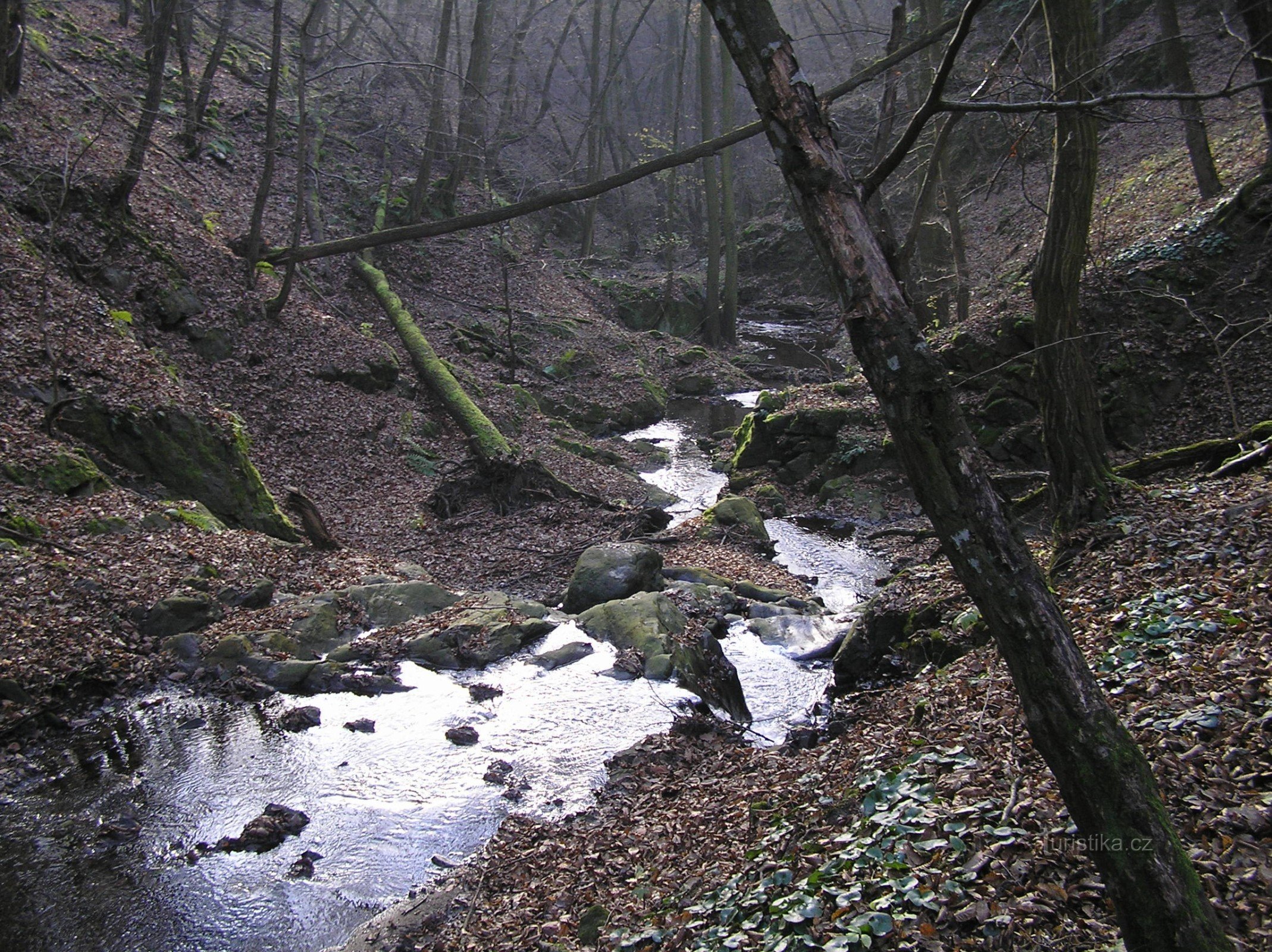 Mohelnička - reserva natural