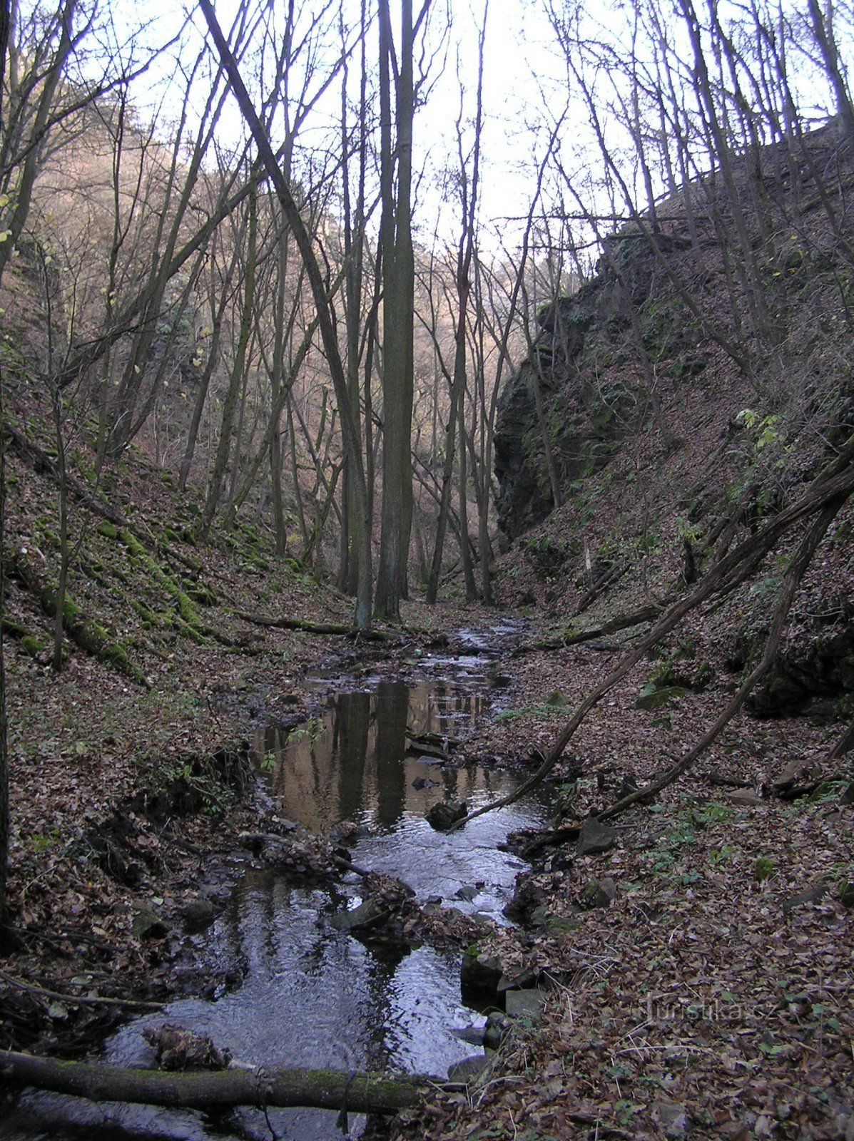 Mohelnička - Naturschutzgebiet