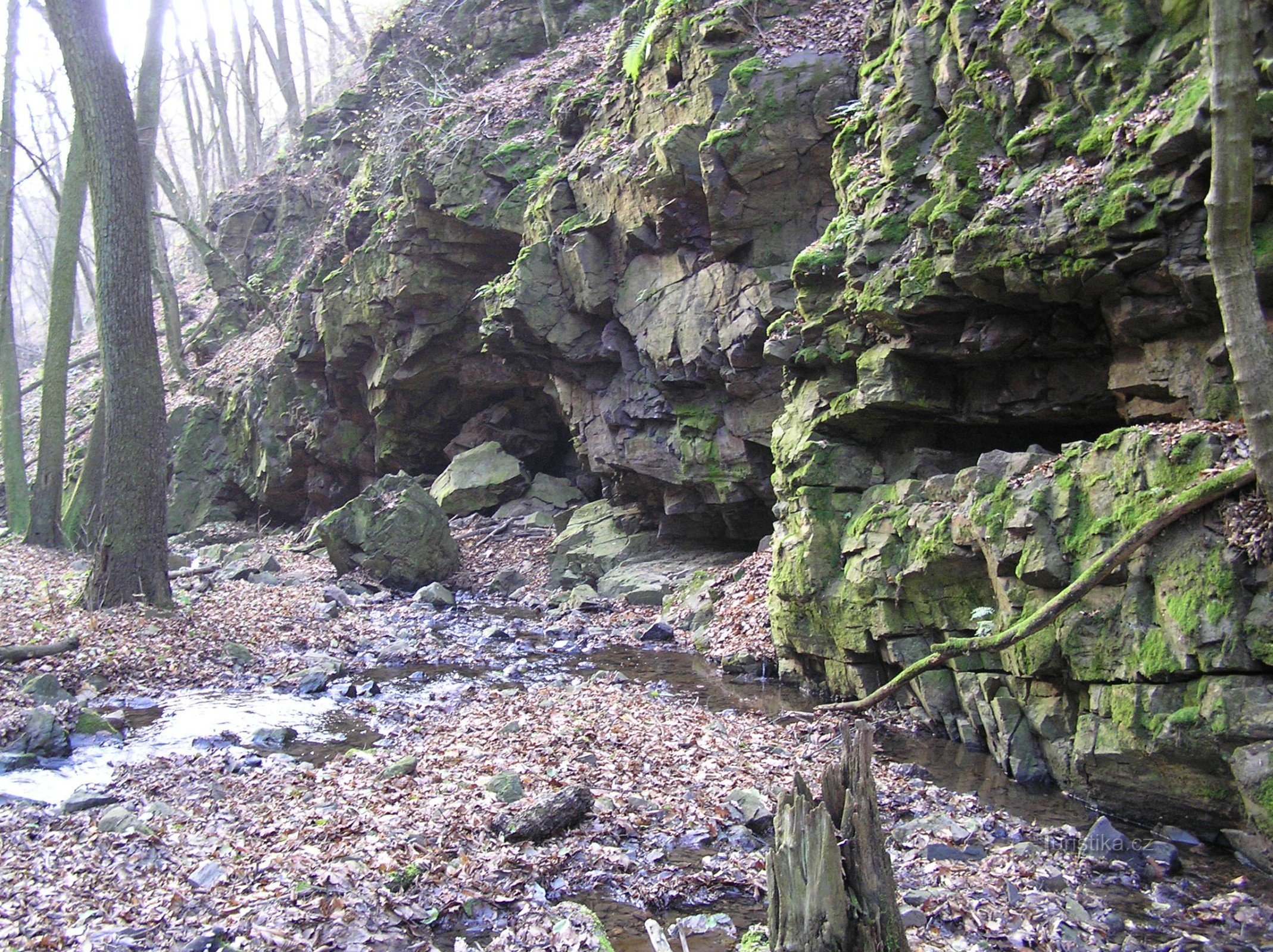 Mohelnička - nature reserve