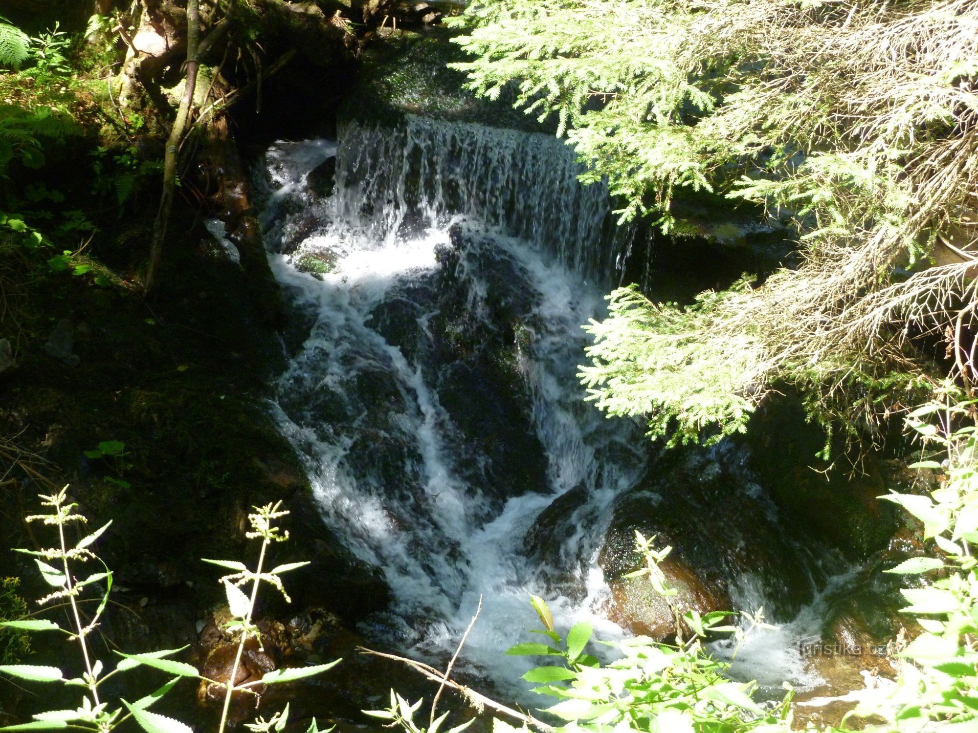 Opava blanc massif