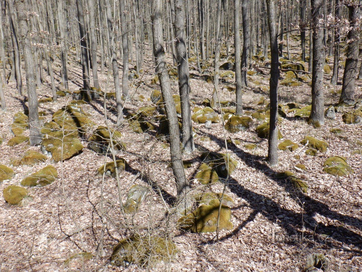 巨大的 Vladař 山 – 布拉格城堡、Blanik、Říp、Radhošť 或 Hostýn