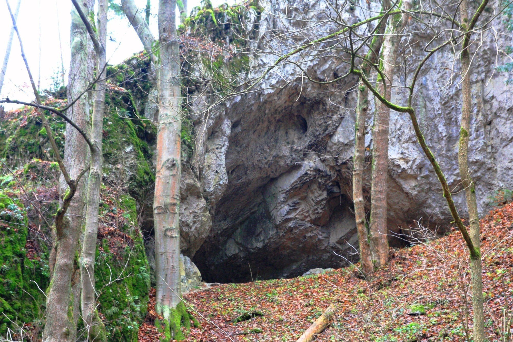The massive entrance portal of the Urbanice cave