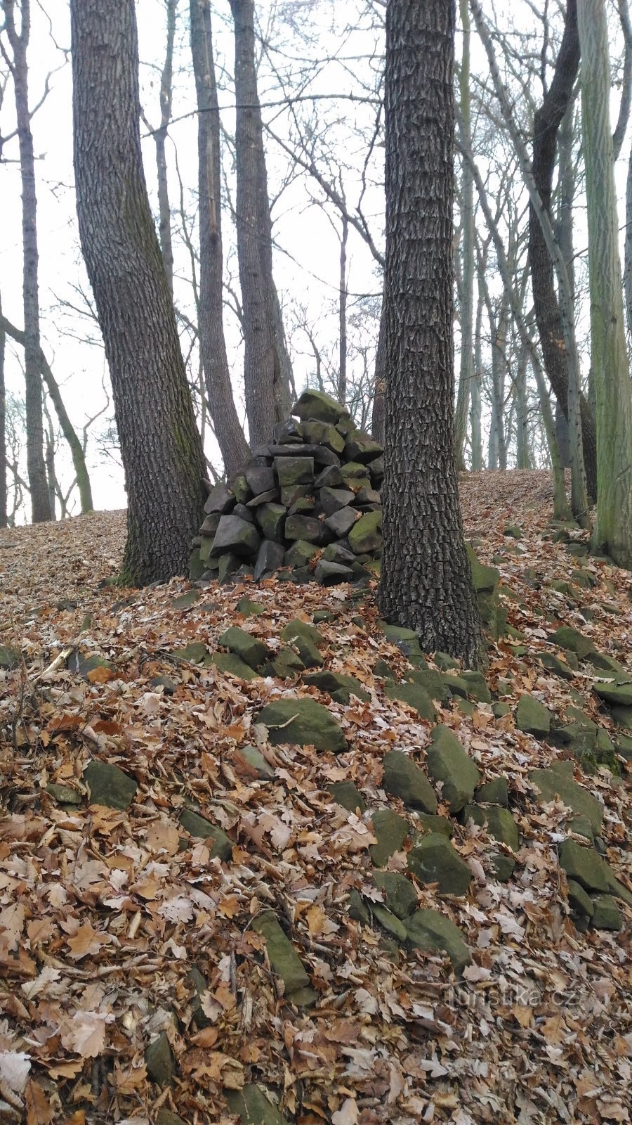 heuvel bij de weg