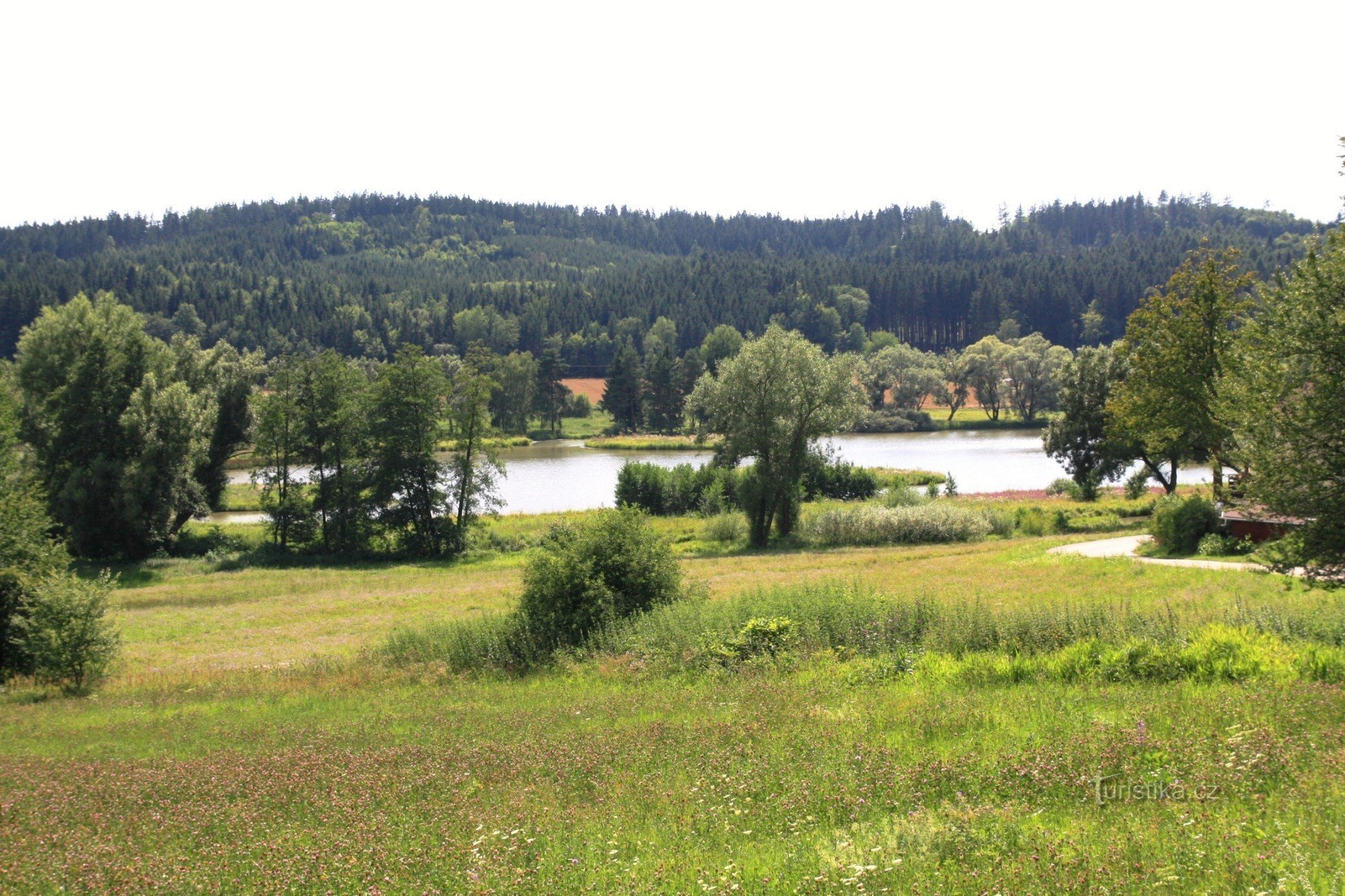 Feuchtgebiet bei Olšovec