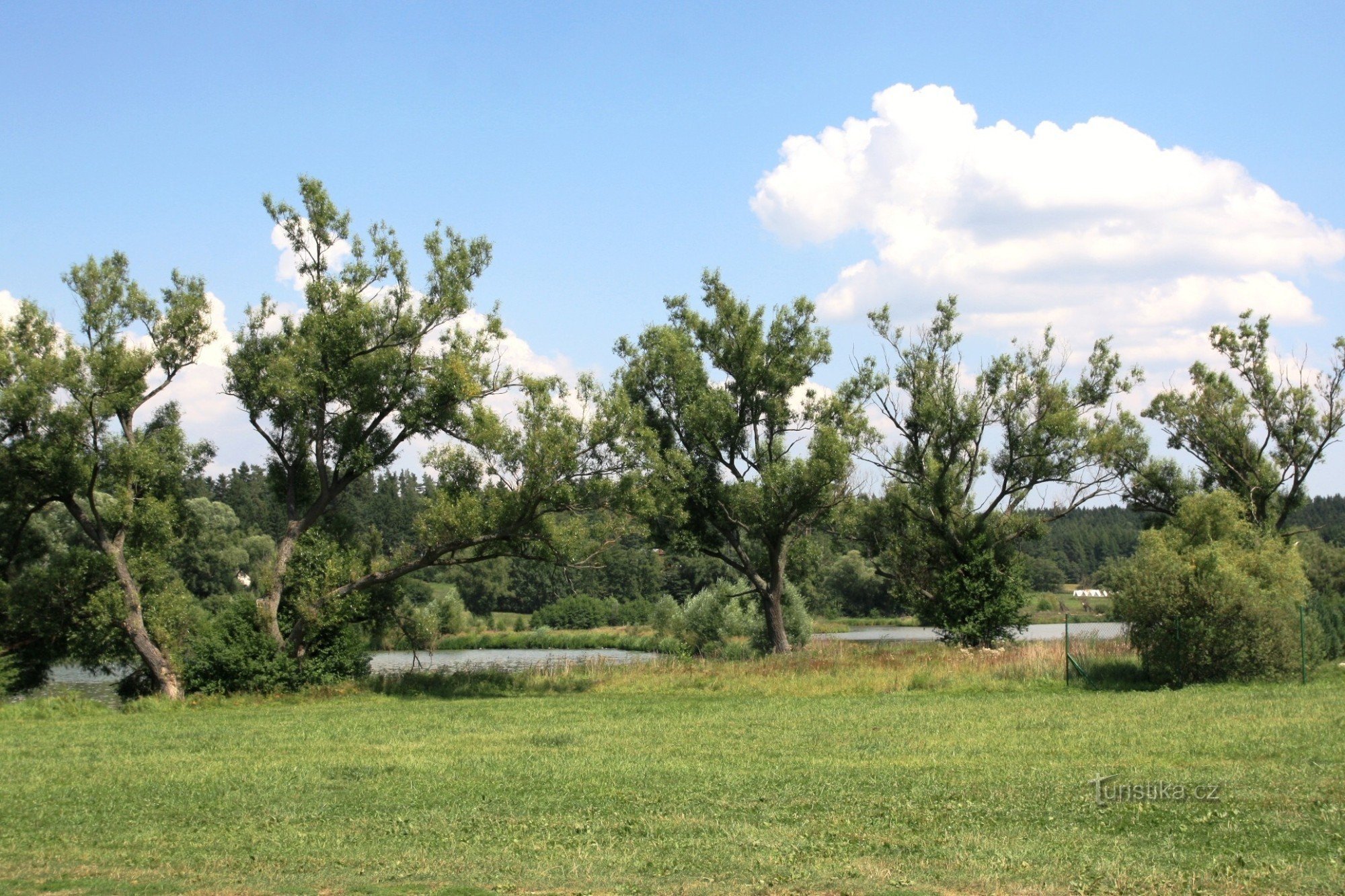 Vizes élőhely Olšovecnél