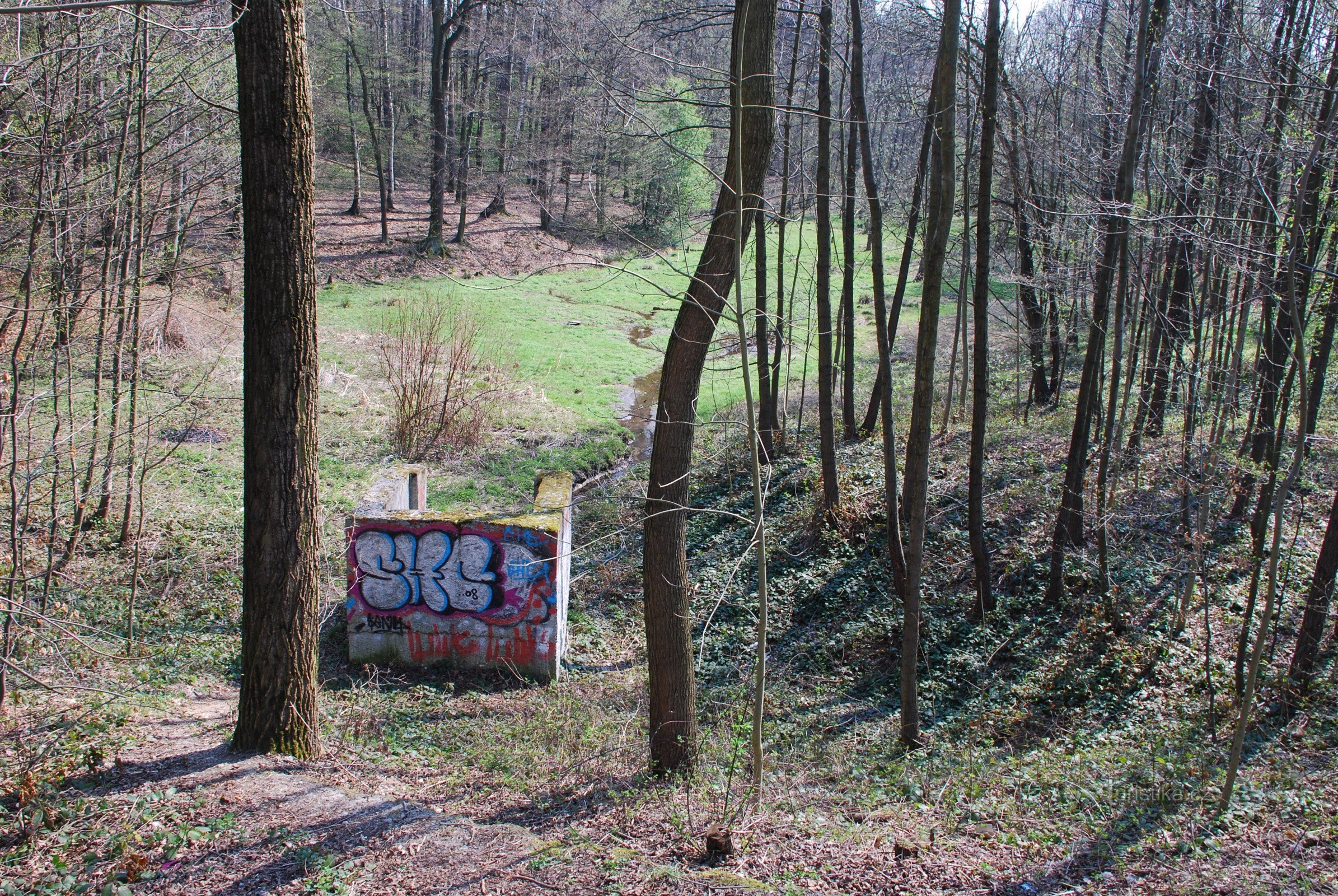Feuchtgebiet unter Koliba in Bělské les