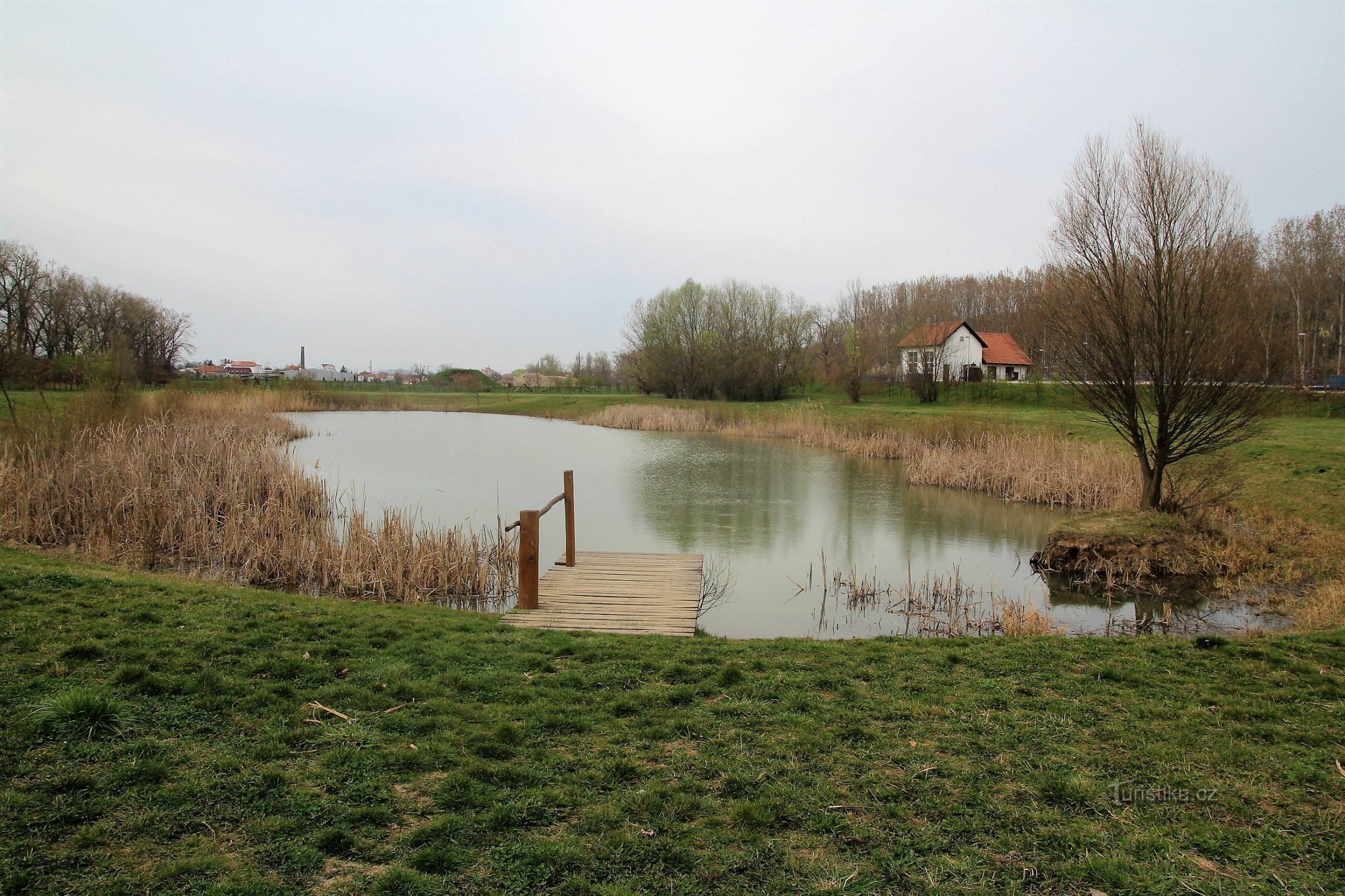Židlochovice 附近的湿地