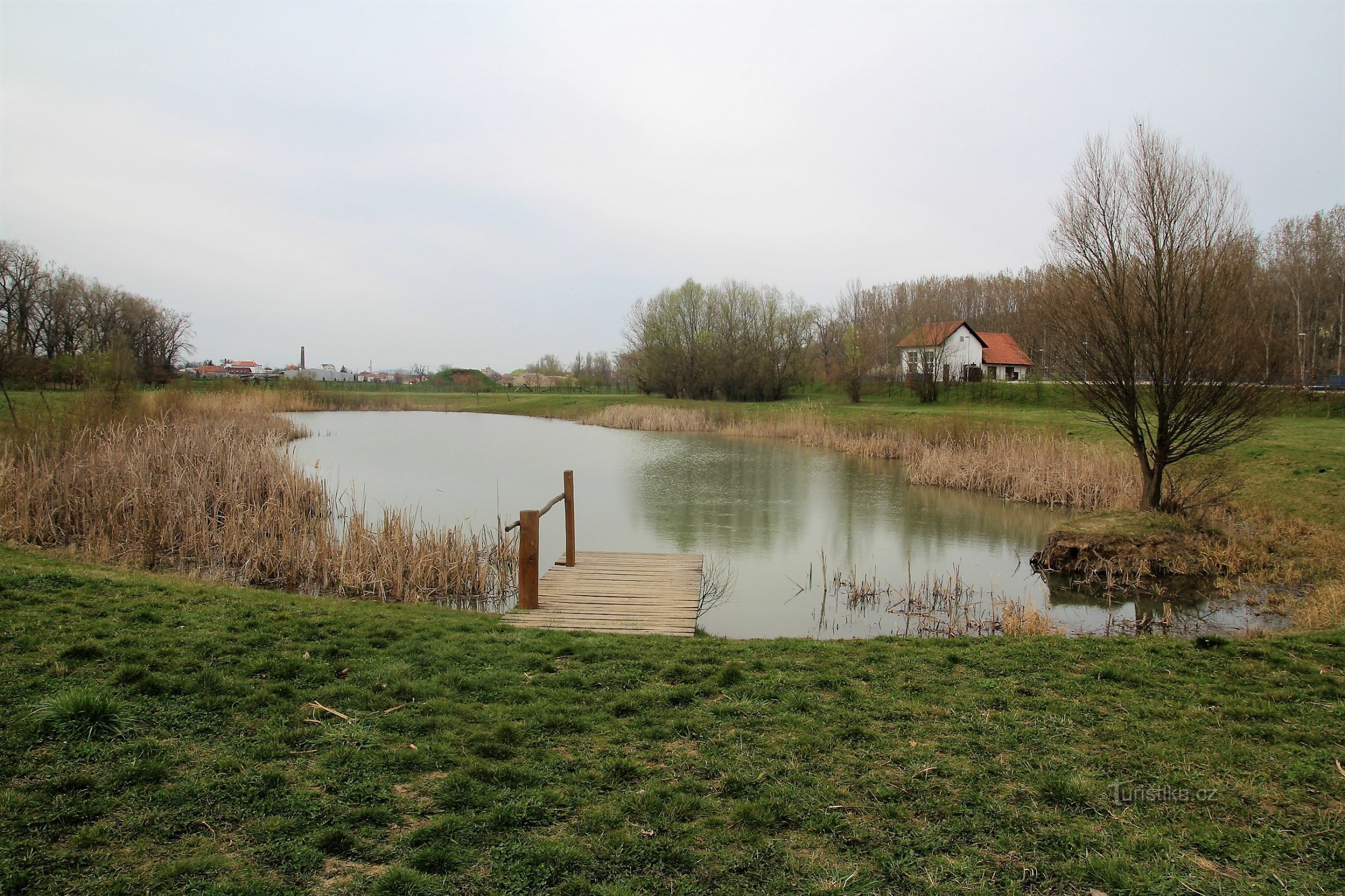 Wetland bij Židlochovice