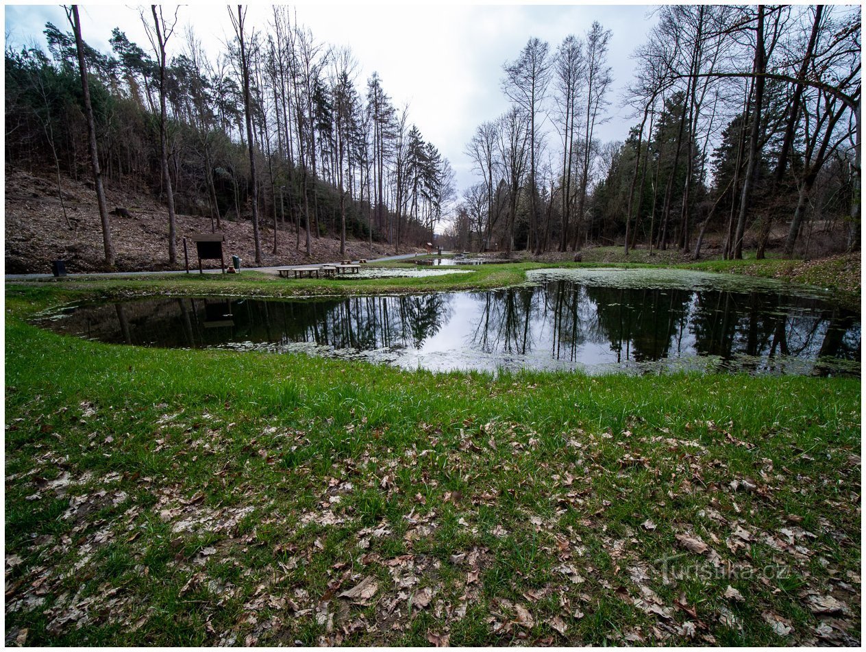 Wetland ponds