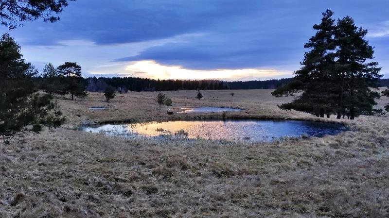 Mokřady pod Vlčkem