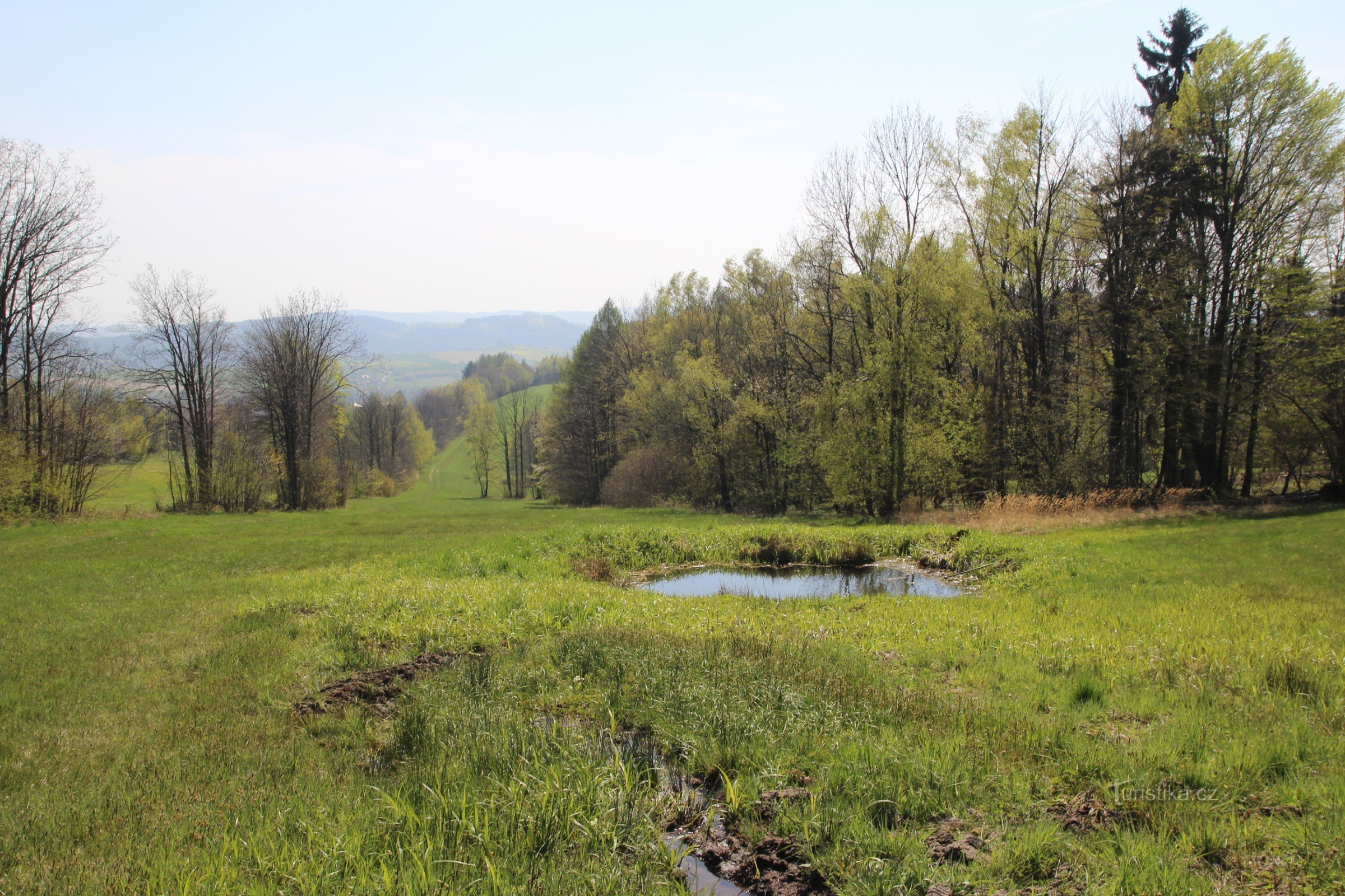 Wetland under a well with a pond